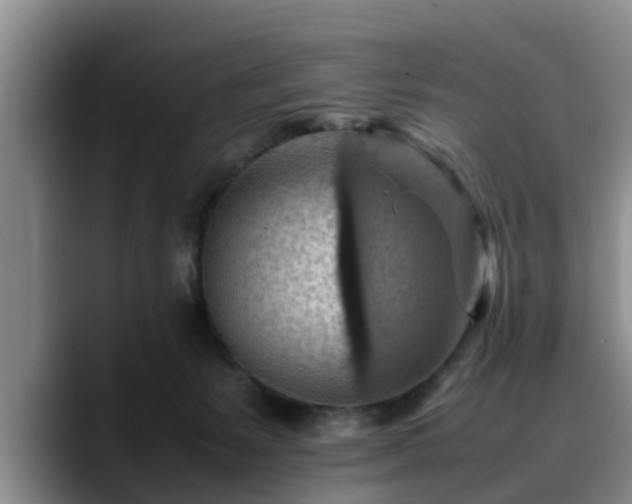 X0000090490127200707201544