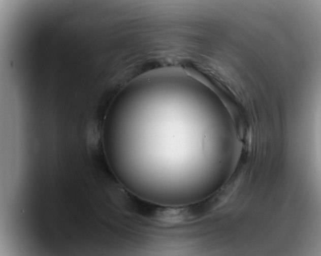 X0000090490129200707201544