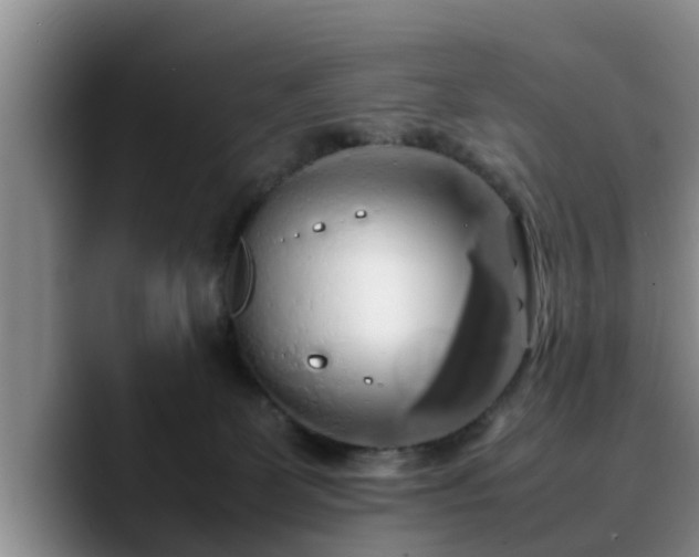 X0000090490131200707201544