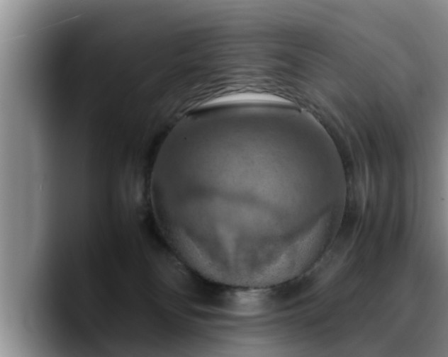 X0000090490134200707201544