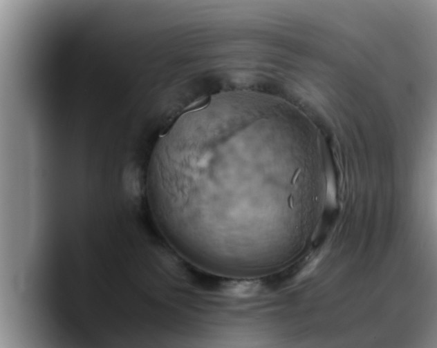 X0000090490135200707201544