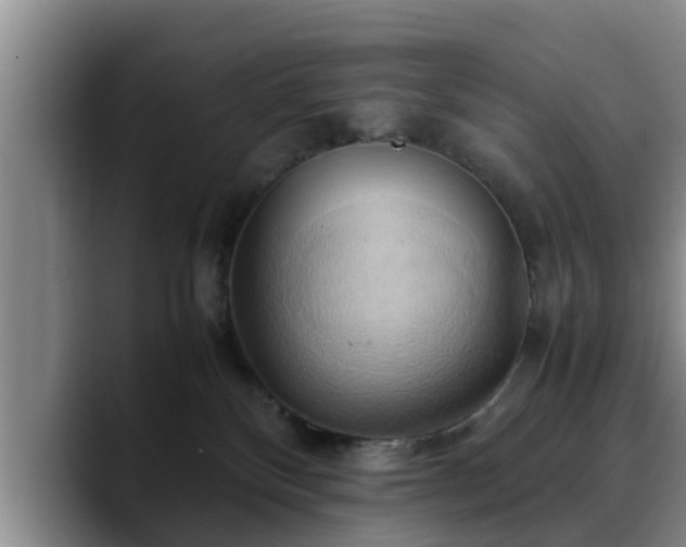 X0000090490136200707201544