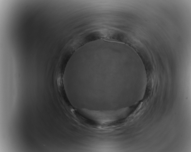 X0000090490137200707201544