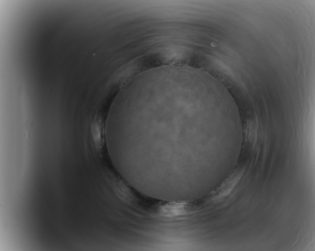 X0000090490138200707201544
