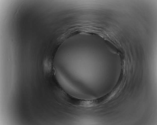X0000090490139200707201544
