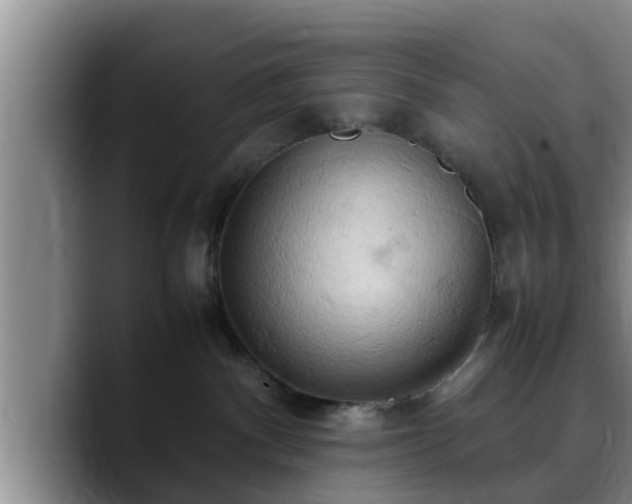 X0000090490140200707201544