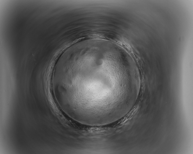 X0000090490145200707201543