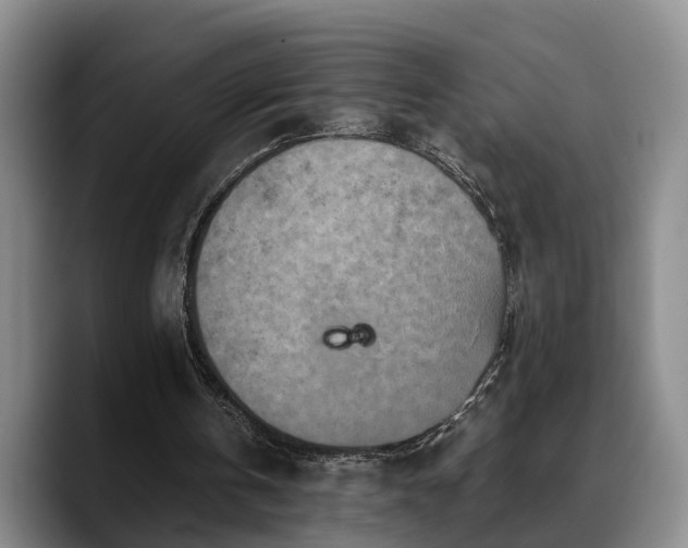 X0000090490146200707201543