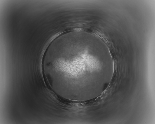 X0000090490147200707201543