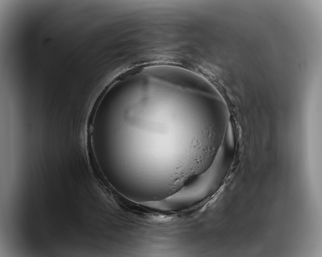 X0000090490148200707201543