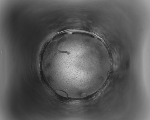 X0000090490149200707201543