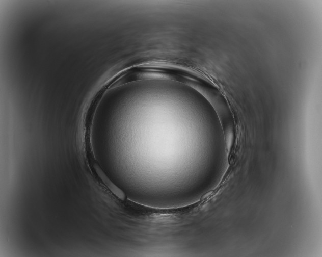 X0000090490150200707201543