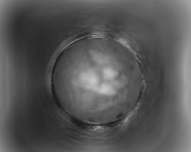 X0000090490151200707201543