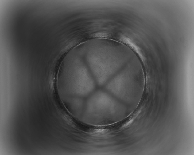 X0000090490153200707201543