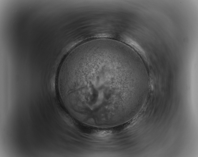 X0000090490155200707201543