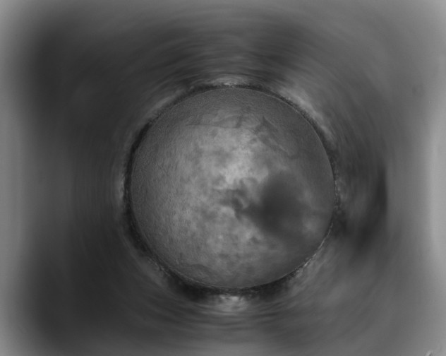 X0000090490159200707201543