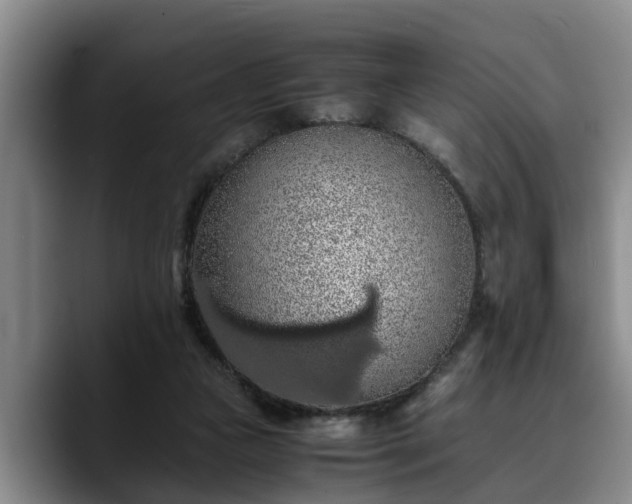 X0000090490161200707201543