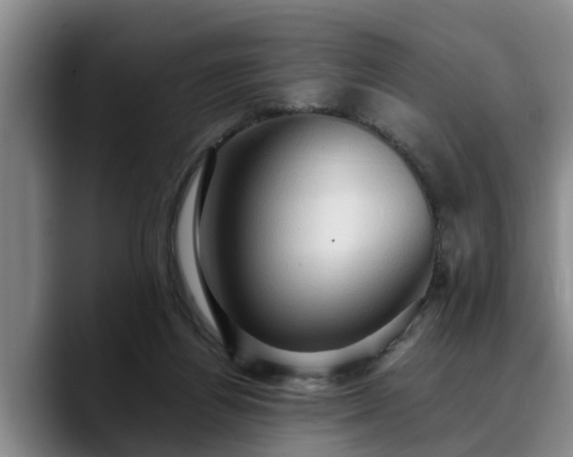 X0000090490164200707201543