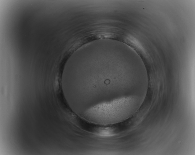 X0000090490169200707201544