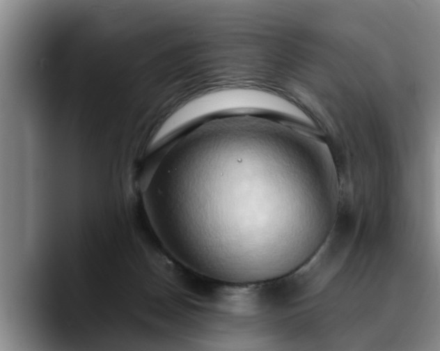 X0000090490170200707201544