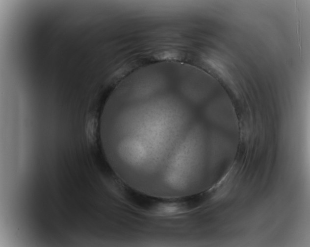 X0000090490171200707201544