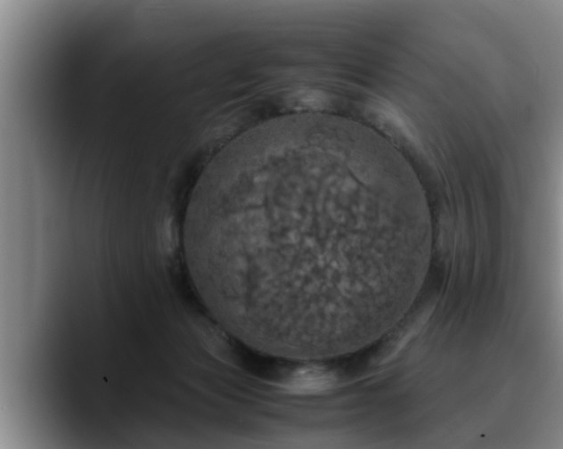 X0000090490173200707201544