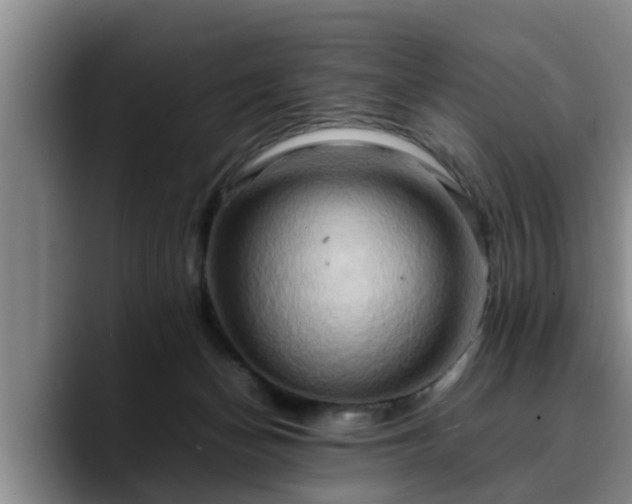 X0000090490174200707201544