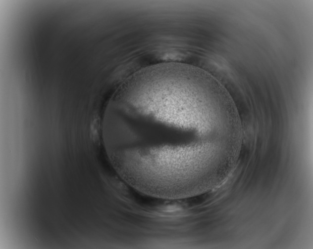 X0000090490175200707201544