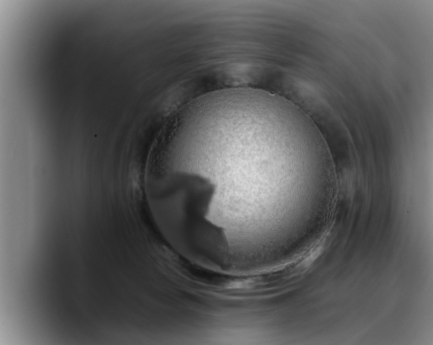 X0000090490178200707201544
