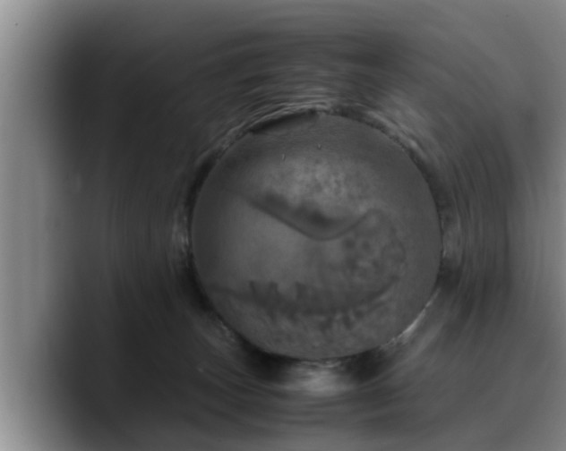 X0000090490179200707201544