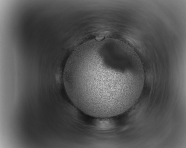 X0000090490181200707201544
