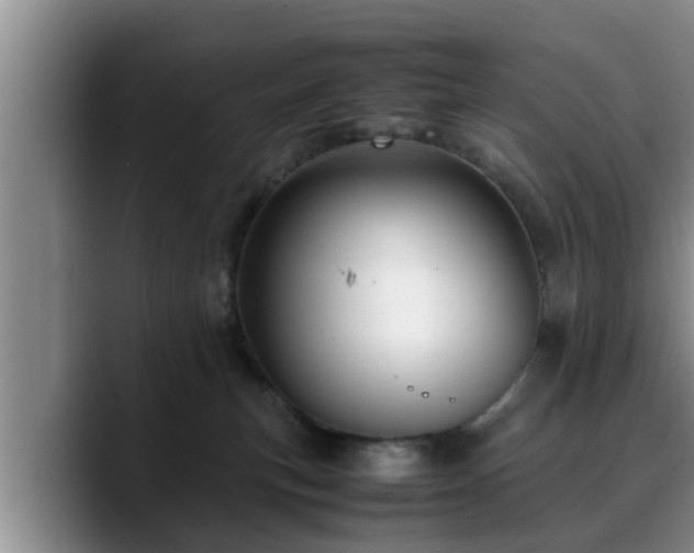 X0000090490183200707201544