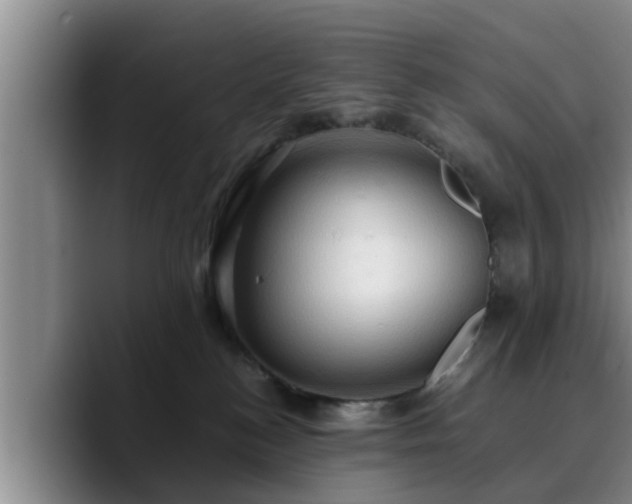 X0000090490184200707201544