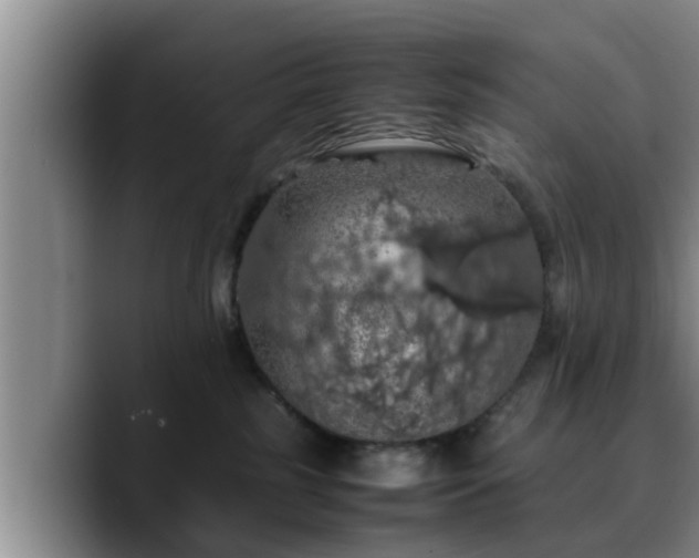 X0000090490185200707201544