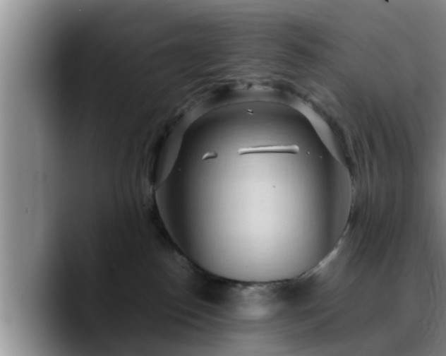 X0000090490186200707201544
