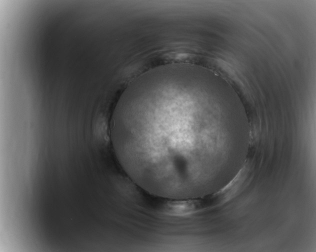 X0000090490187200707201544