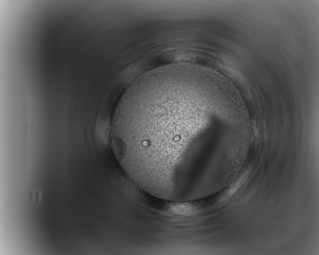 X0000090490189200707201544
