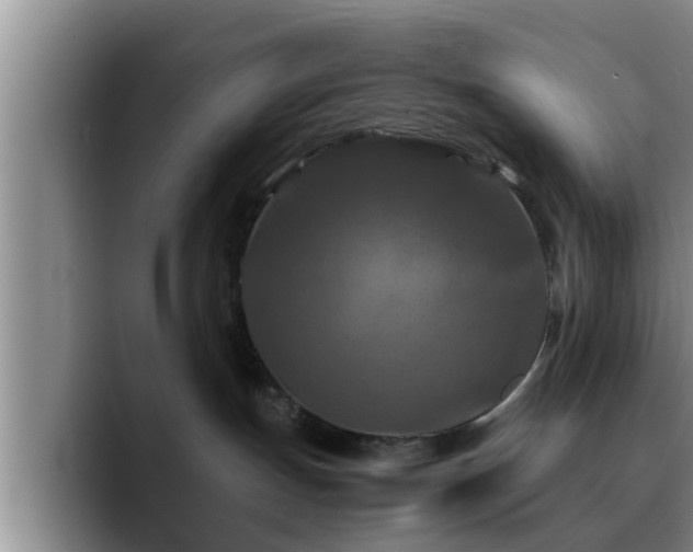 X0000090490191200707201544