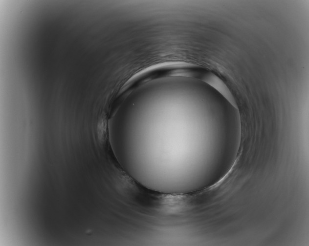 X0000090490192200707201544