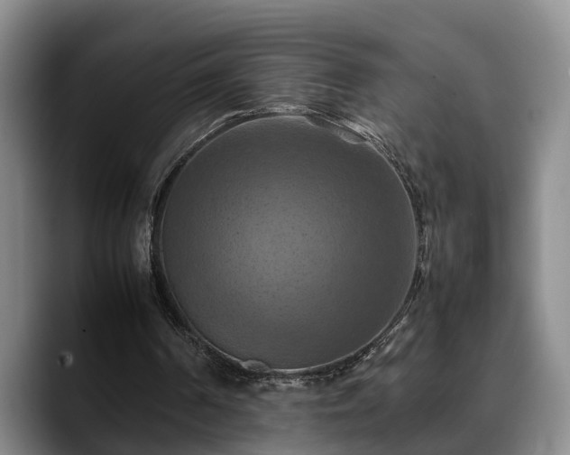 X0000090490194200707201543