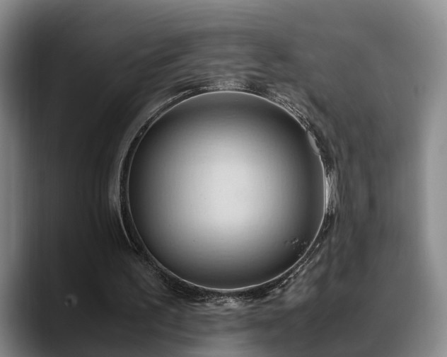 X0000090490195200707201543