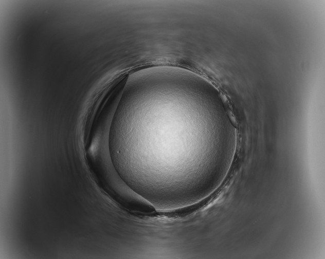 X0000090490197200707201543