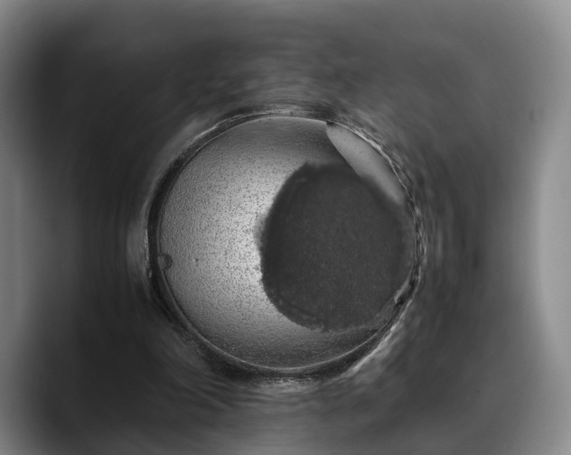 X0000090490198200707201543