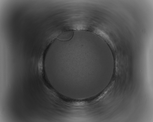X0000090490202200707201543