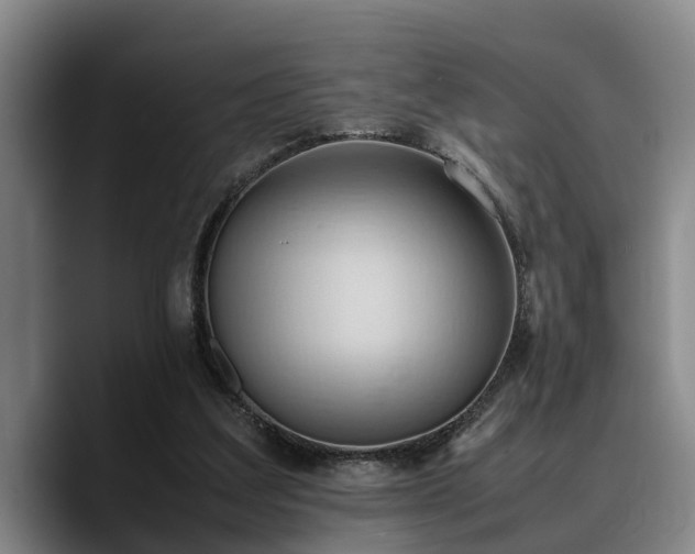 X0000090490203200707201543
