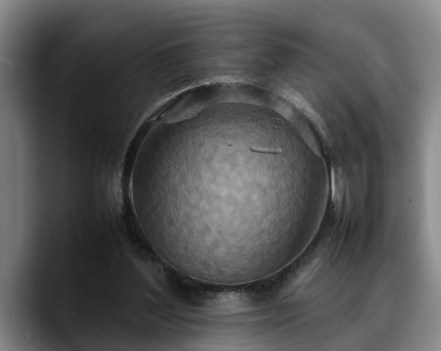 X0000090490204200707201543