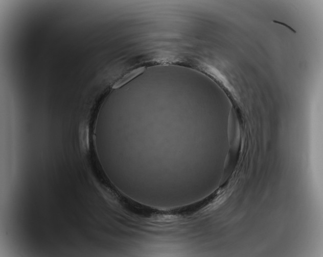X0000090490205200707201543