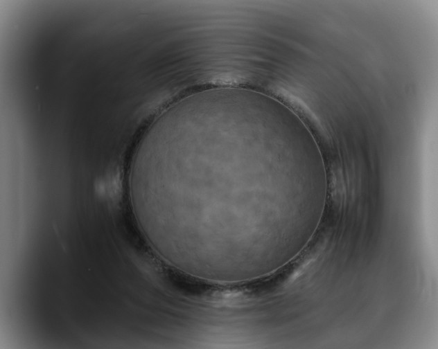 X0000090490208200707201543