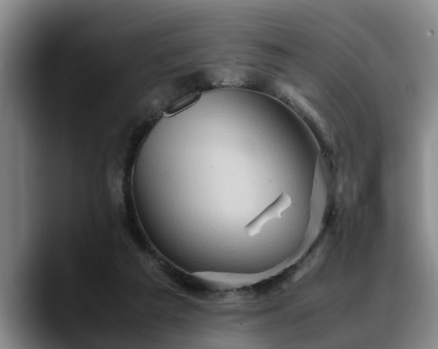 X0000090490209200707201543