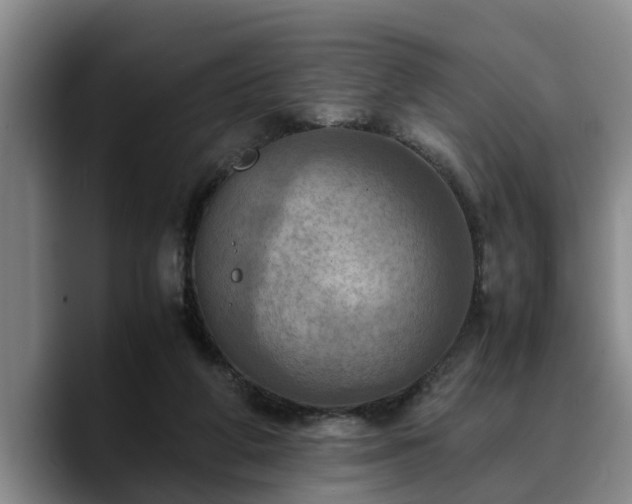 X0000090490210200707201543